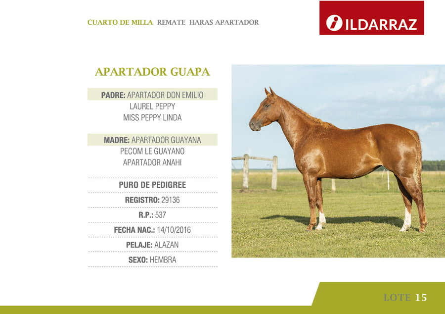 Lote APARTADOR GUAPA