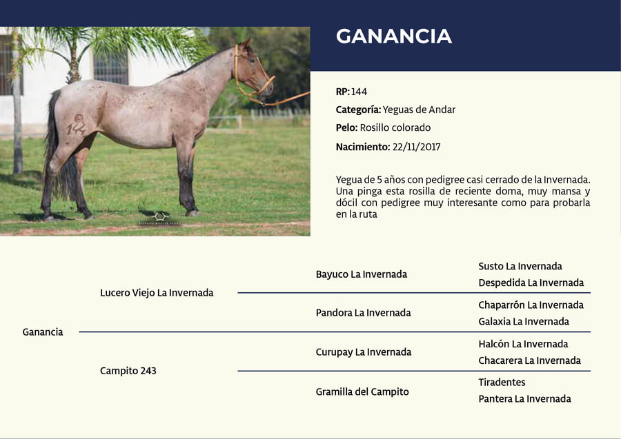 Lote RP 144 - Ganancia
