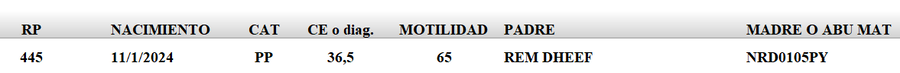 Lote LOTE 63