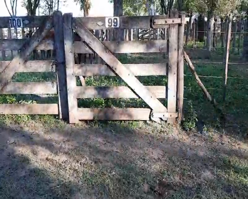 Lote 4 Terneras en Gral. Lamadrid, Buenos Aires