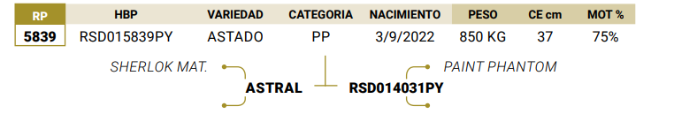 Lote LOTE 3