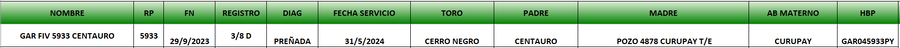 Lote LOTE 9