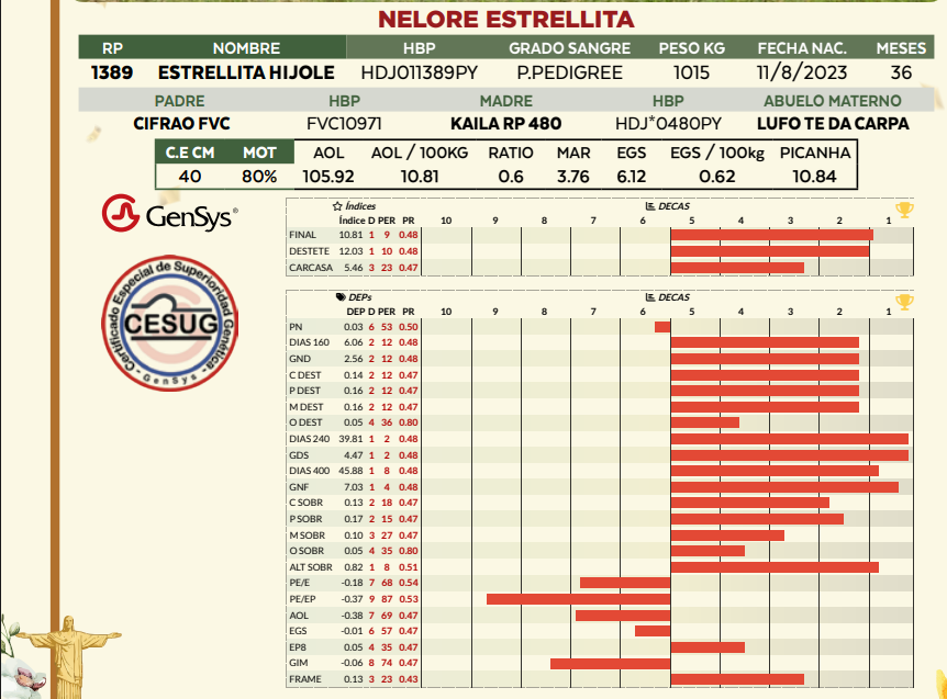 Lote LOTE 11