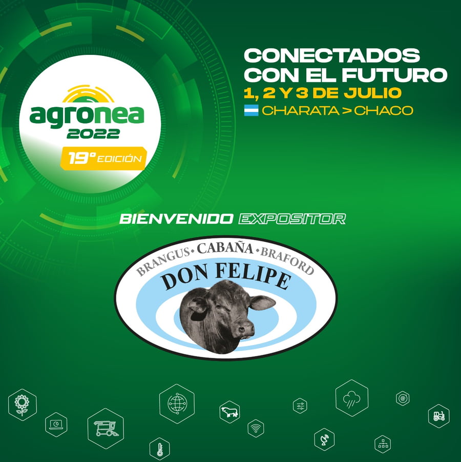 Lote Cabaña Don Felipe - TOROS P005