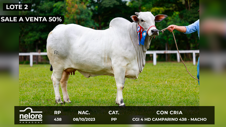 Lote LOTE 2- SALE A VENTA EL 50%
