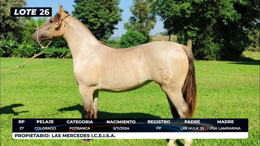 Lote LOTE 26- DE BOZAL