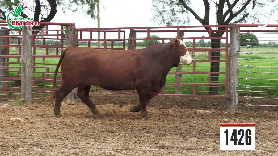 Lote Braford
