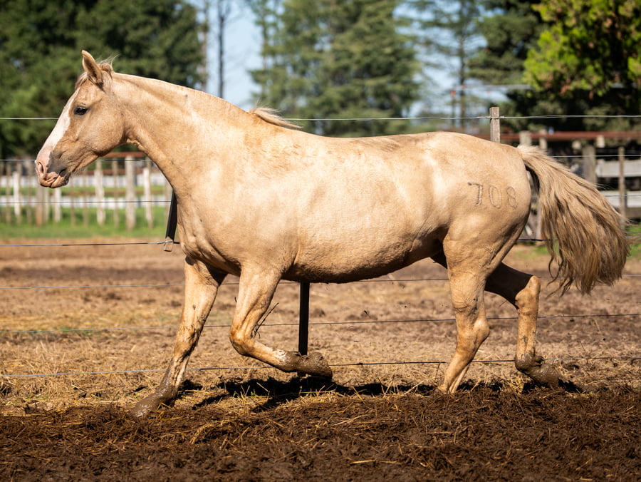 Lote TRES AR LA DUQUESA