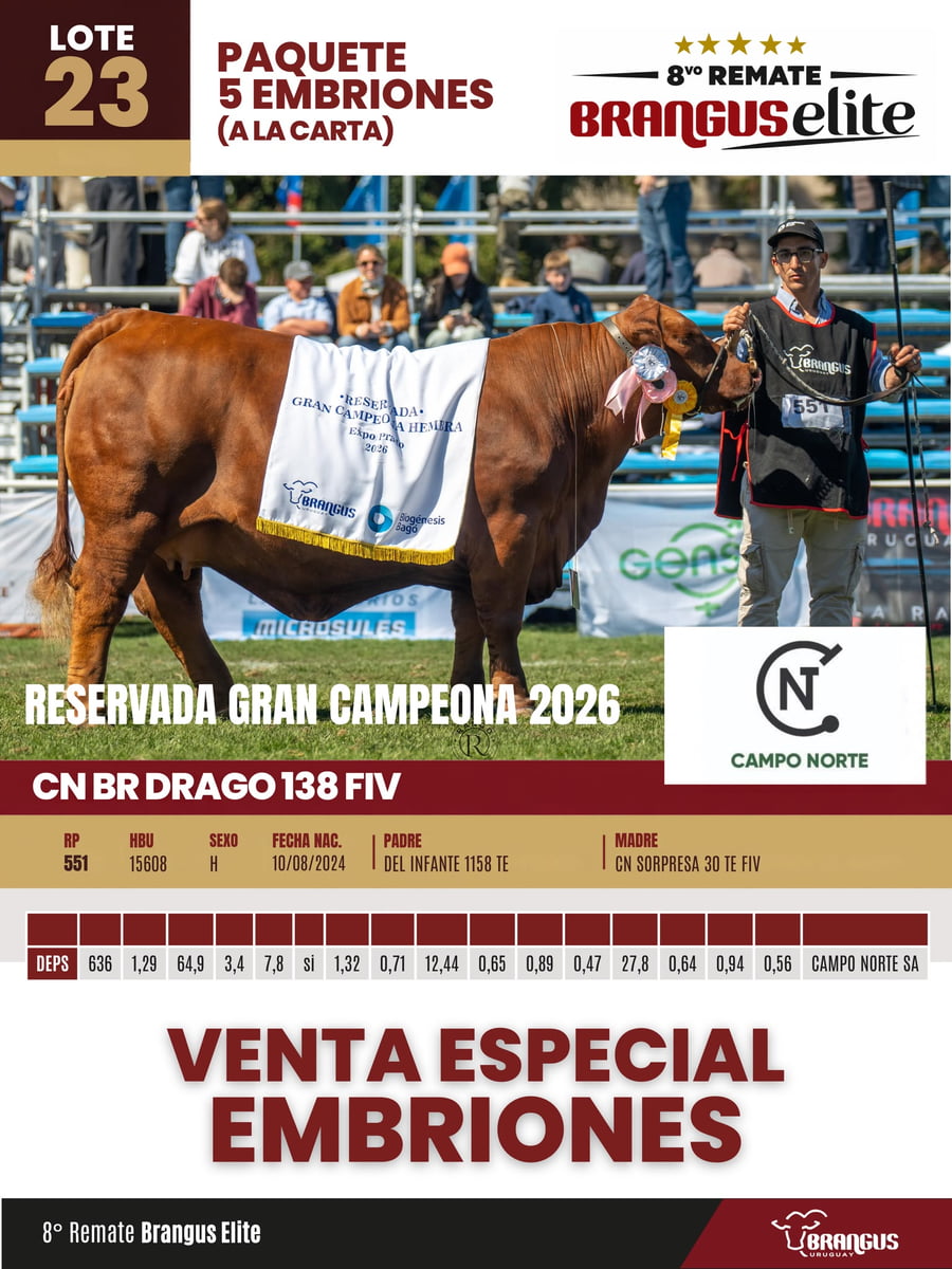 Lote Paquete 5 embriones 551 reservada gran campeona