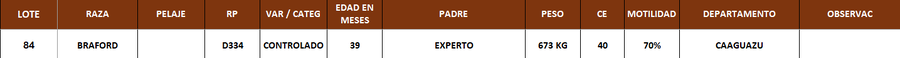 Lote LOTE 84