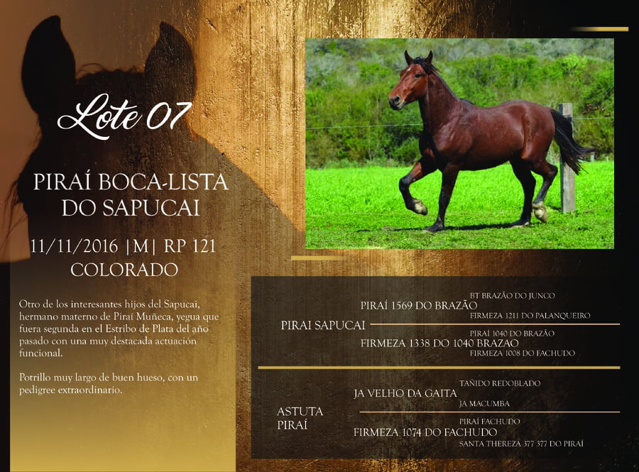 Lote RP 121 - PIRAÍ BOCA-LISTA DO SAPUCAI