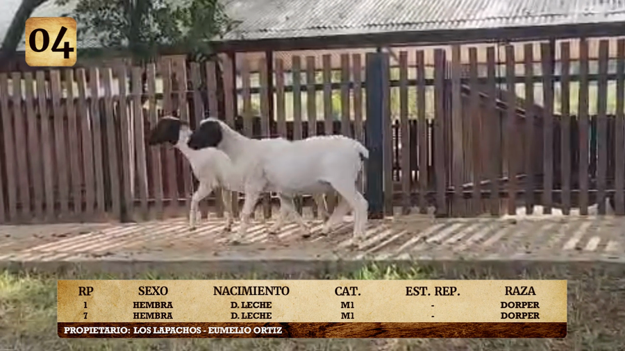 Lote LOTE 4
