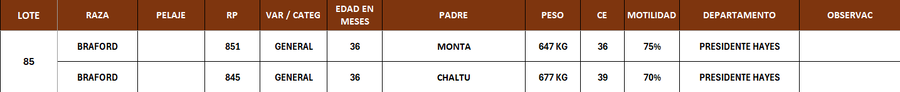 Lote LOTE 85