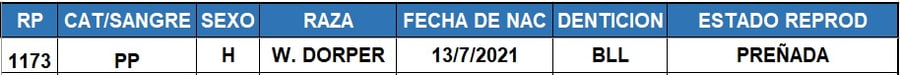 Lote LOTE 19
