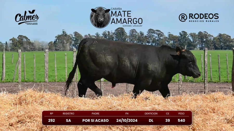Lote RP 292 SA