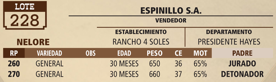 Lote LOTE 228 - PANTALLA