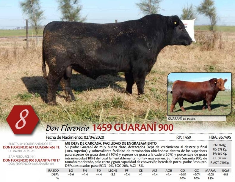 Lote TORO