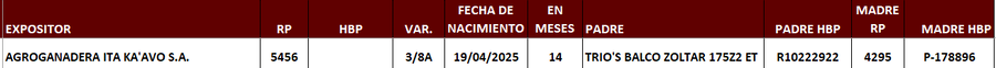 Lote LOTE 32