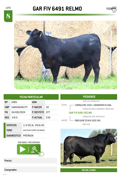 Lote LOTE 8