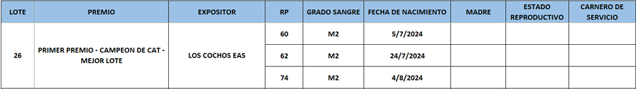 Lote LOTE 26