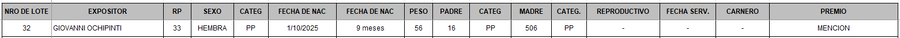 Lote LOTE 32 - BOZAL