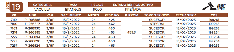 Lote LOTE 19