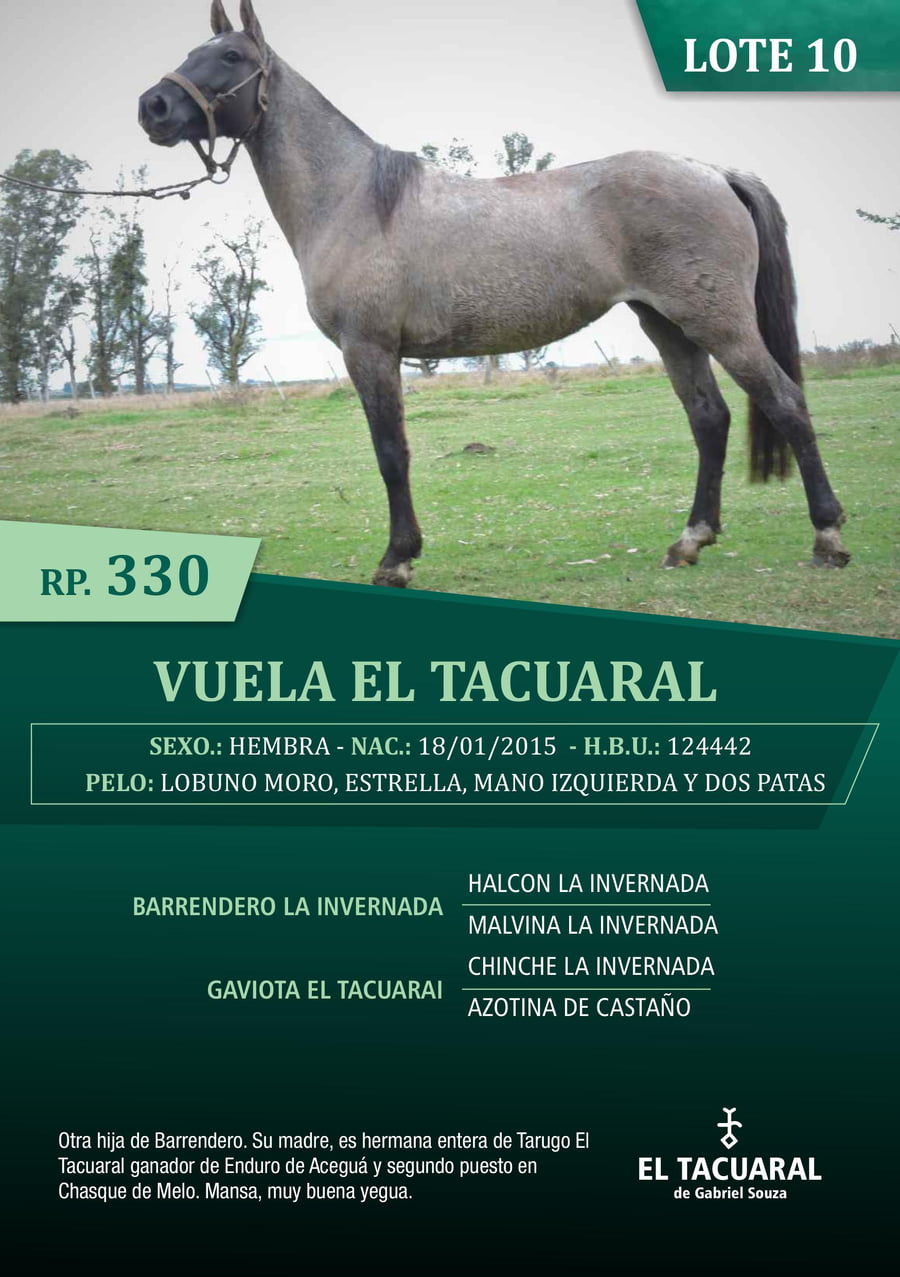 Lote VUELA EL TACUARAL - R.P. 330