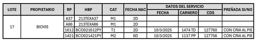Lote LOTE 17