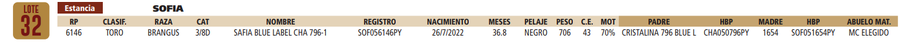 Lote LOTE 32