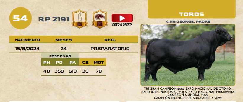 Lote LOTE 54