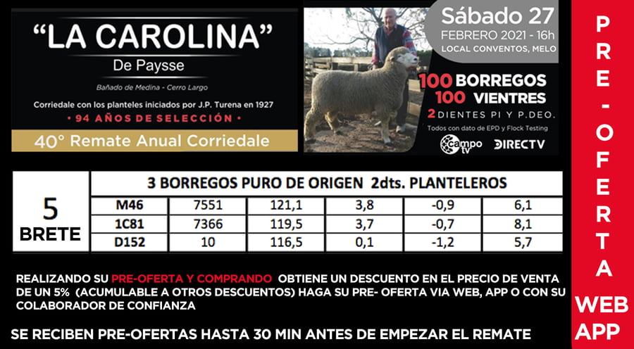 Lote 1 Borregos Planteleros en Cerro Largo, Cerro Largo