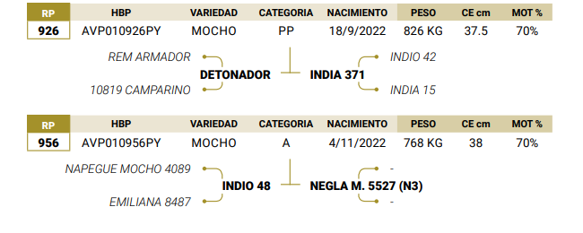 Lote LOTE 71
