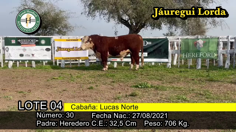 Lote TORO
