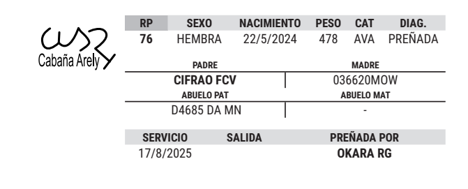 Lote LOTE 22