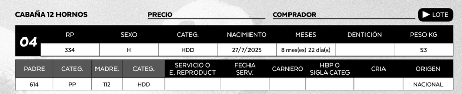 Lote LOTE 4