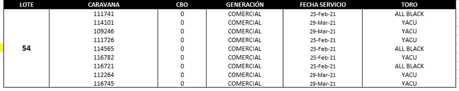Lote Reproductores de Alborada - Lote 54