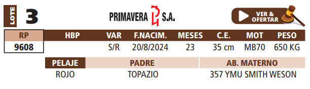 Lote LOTE 3