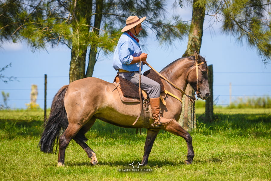 Lote El Gavilán Lagarta (RP 405) Cabaña "El Gavilán"