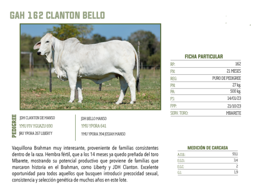 Lote LOTE 53