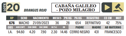 Lote LOTE 20