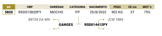 Lote LOTE 65