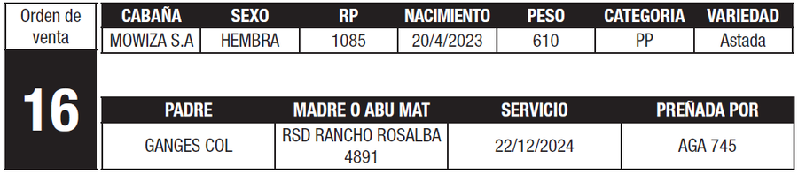 Lote LOTE 16