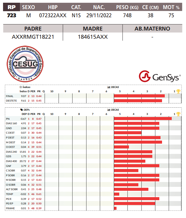 Lote LOTE 47