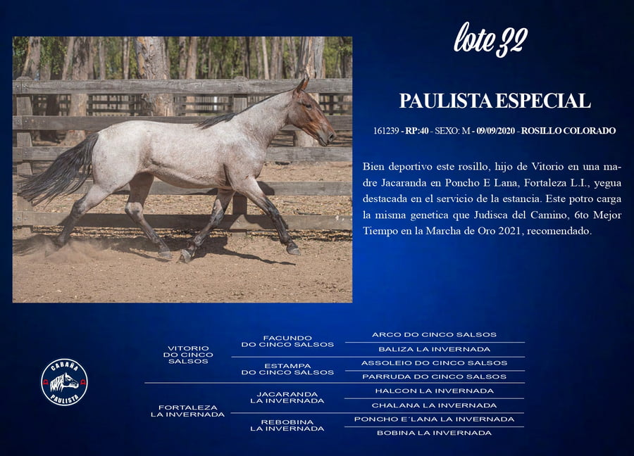 Lote Paulista Especial