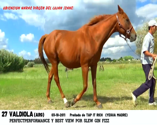 Lote VALDIOLA (ARG)