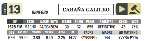 Lote LOTE 13