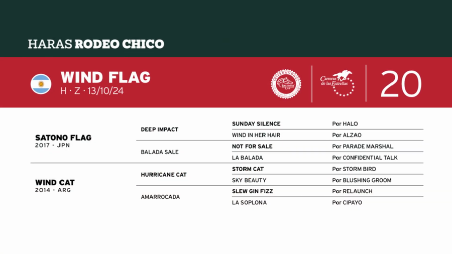 Lote WIND FLAG