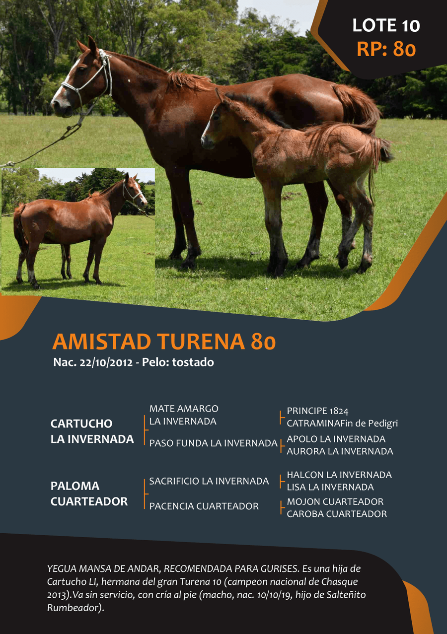 Lote RP 80 - AMISTAD TURENA 80