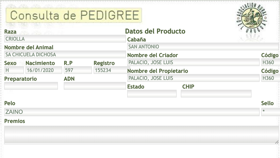 Lote SA Chicuela Dichosa