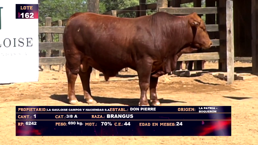 Lote LA GAULOISE  CAMPOS Y HACIENDAS - LOTE 162